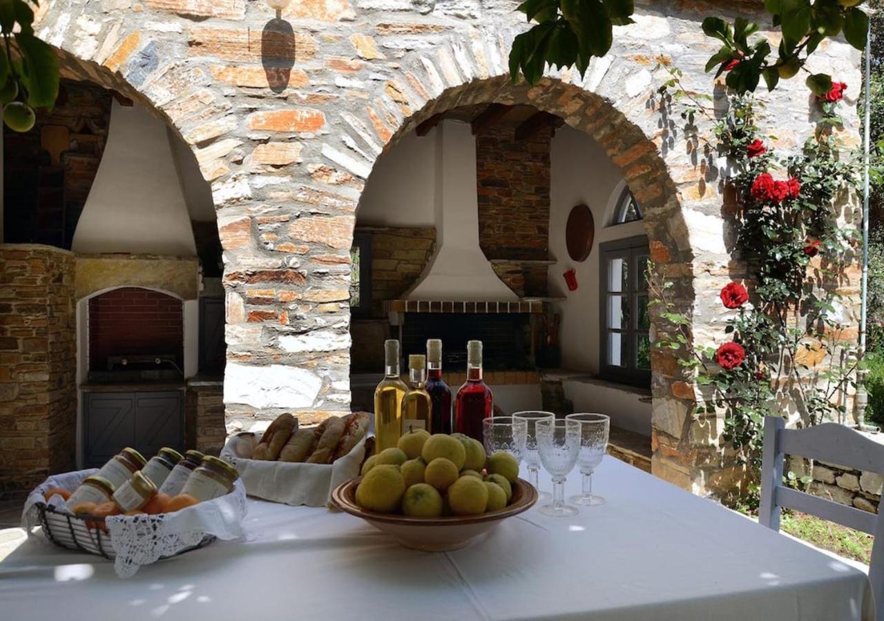 Romano Garden House - Land Tales Agios Romanos Dış mekan fotoğraf