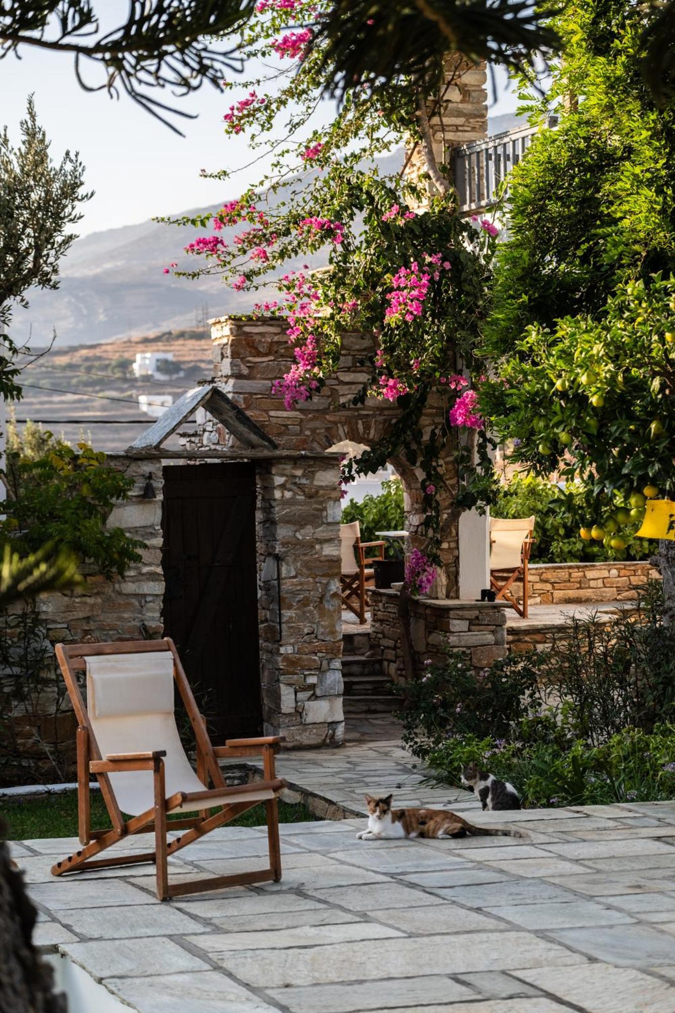 Romano Garden House - Land Tales Agios Romanos Dış mekan fotoğraf