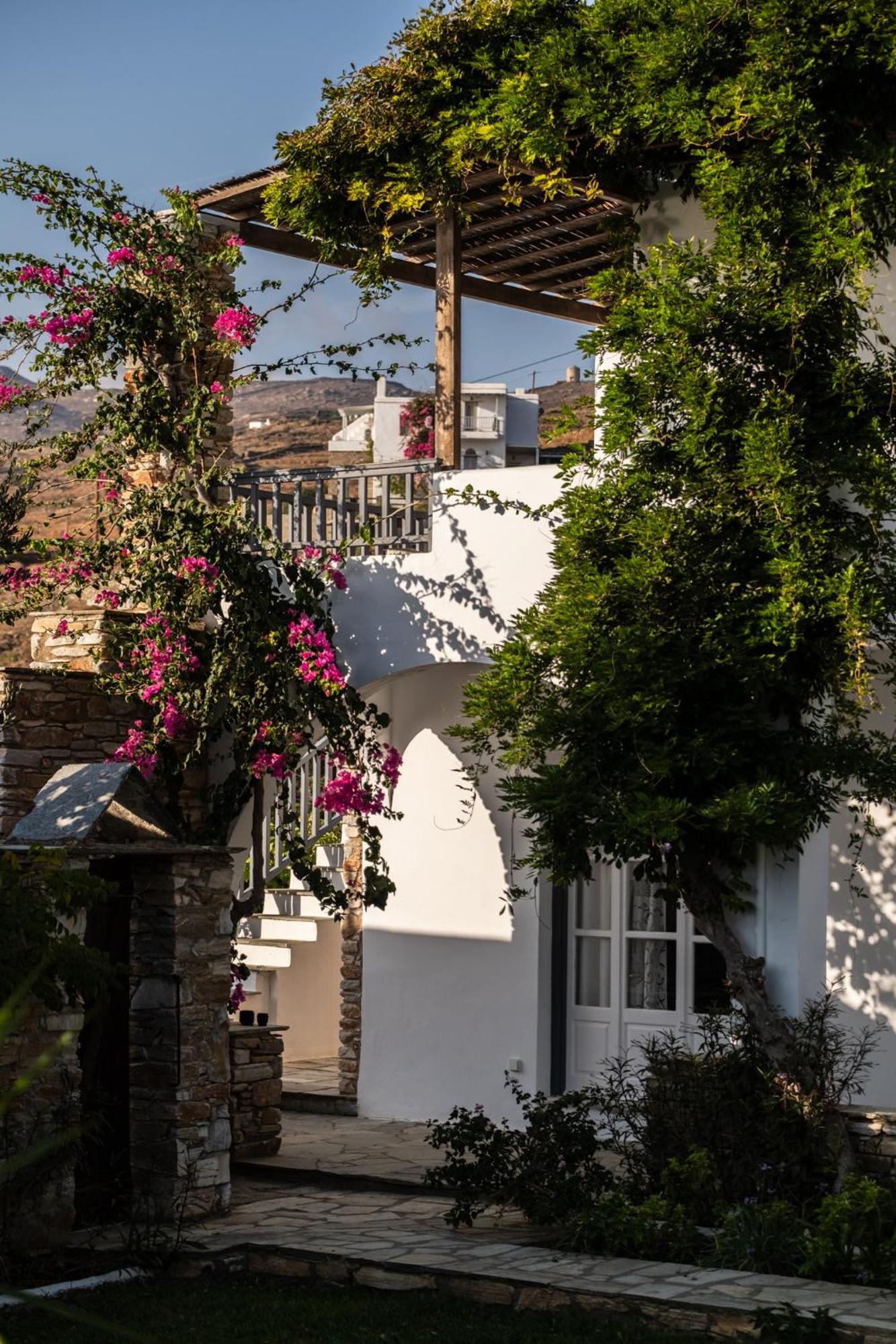 Romano Garden House - Land Tales Agios Romanos Dış mekan fotoğraf