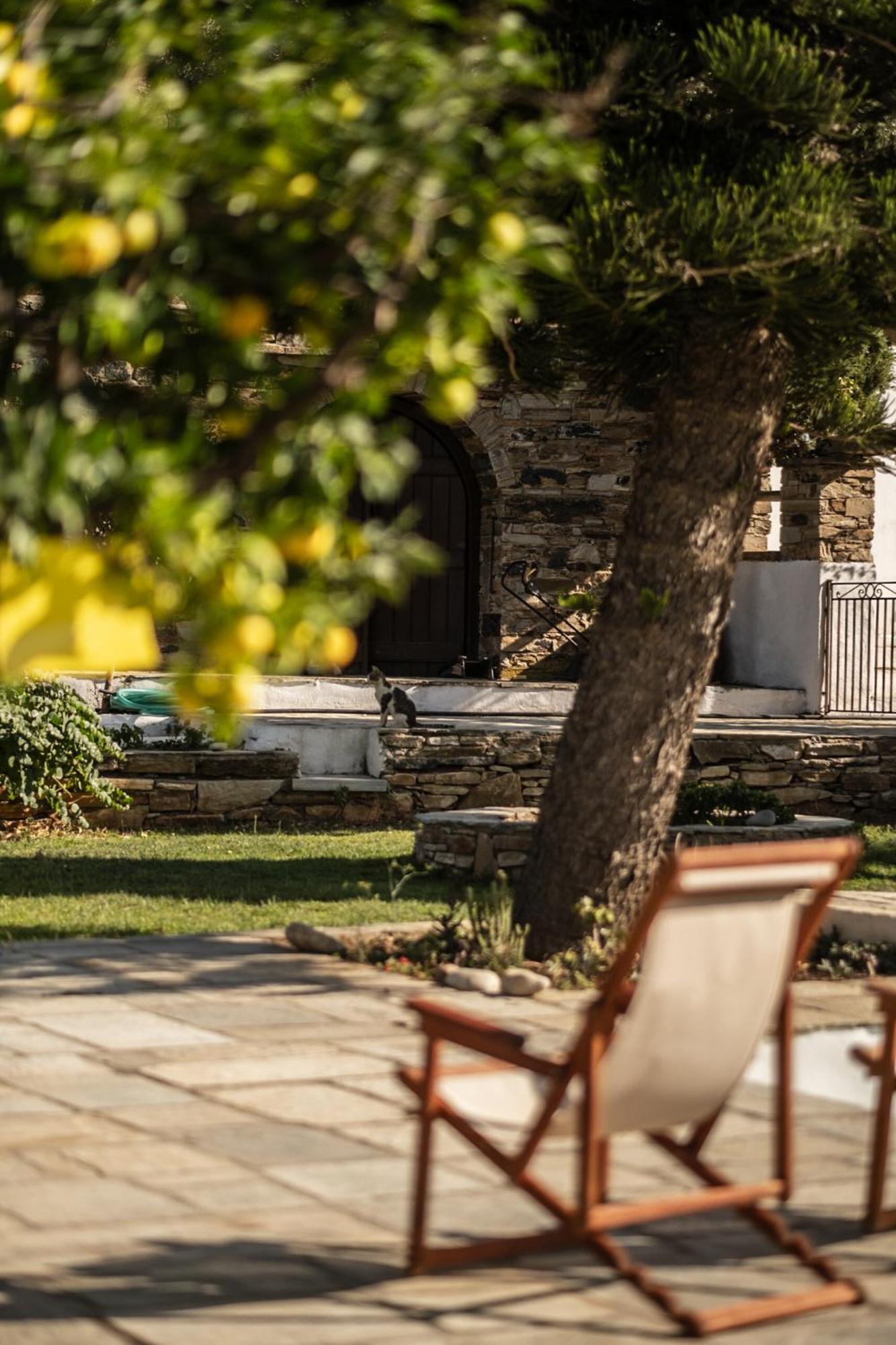 Romano Garden House - Land Tales Agios Romanos Dış mekan fotoğraf