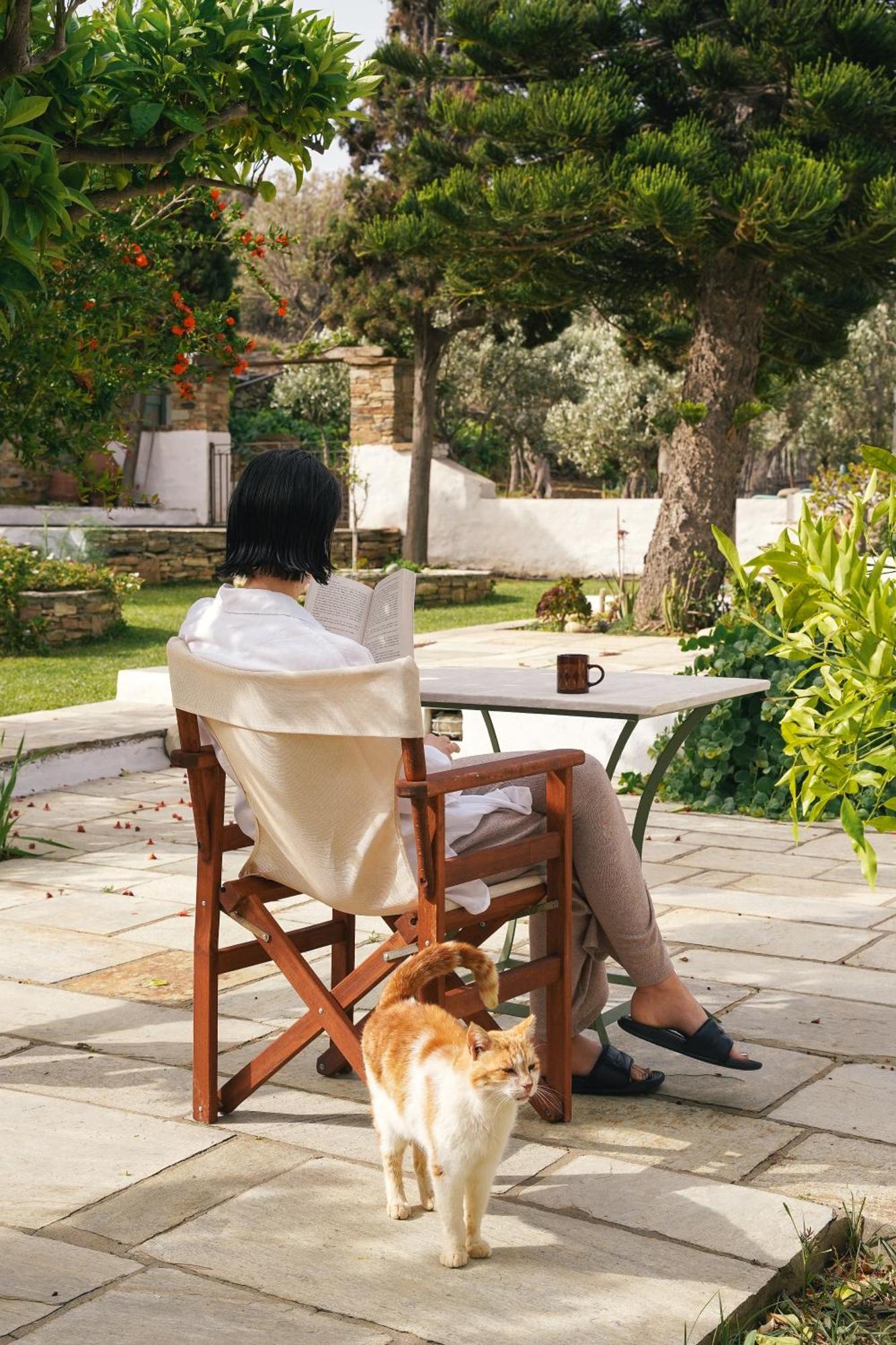 Romano Garden House - Land Tales Agios Romanos Dış mekan fotoğraf